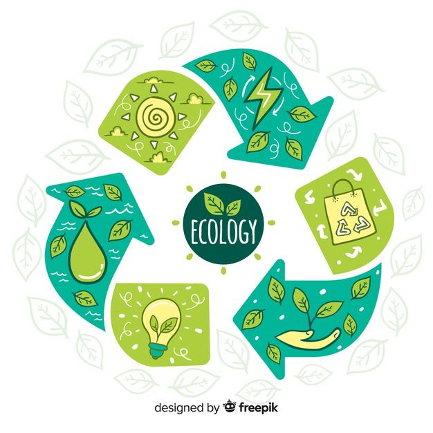 ecology photo 2