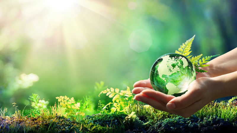 ecology